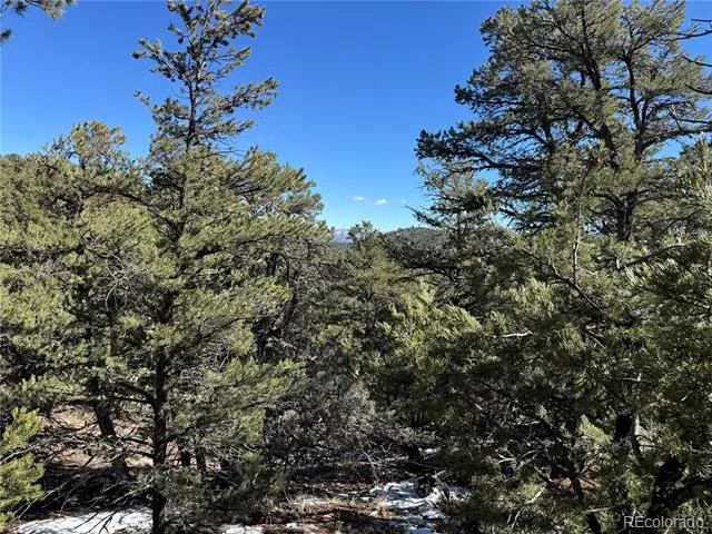 1114 Kevin Drive Cotopaxi, CO 81223