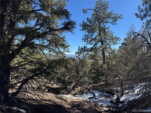 1114 Kevin Drive Cotopaxi, CO 81223
