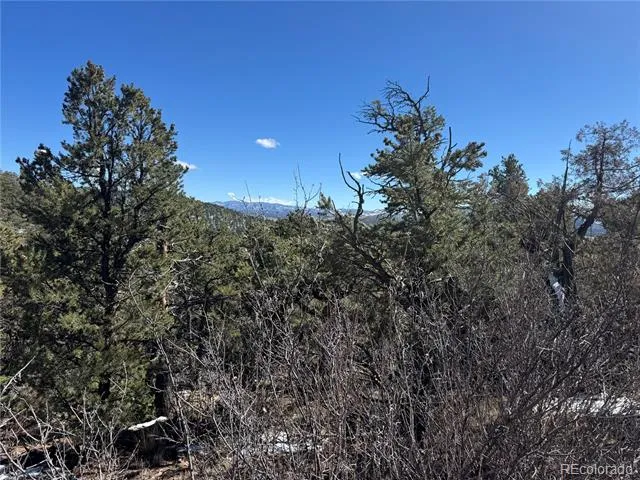 1114 Kevin Drive Cotopaxi, CO 81223