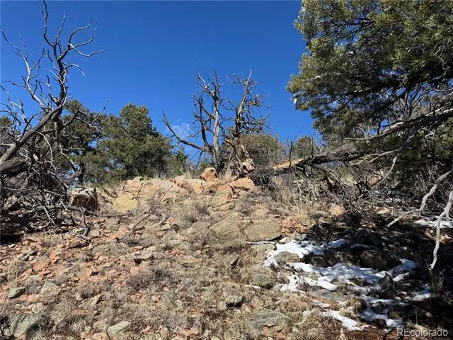 1114 Kevin Drive Cotopaxi, CO 81223