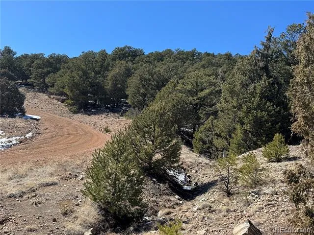 1114 Kevin Drive Cotopaxi, CO 81223