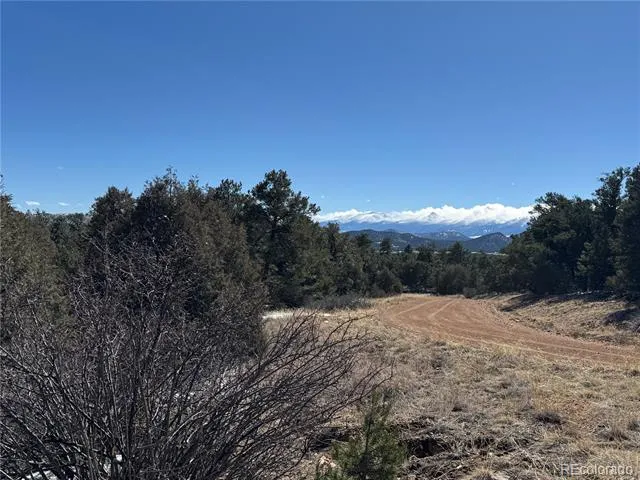 1114 Kevin Drive Cotopaxi, CO 81223