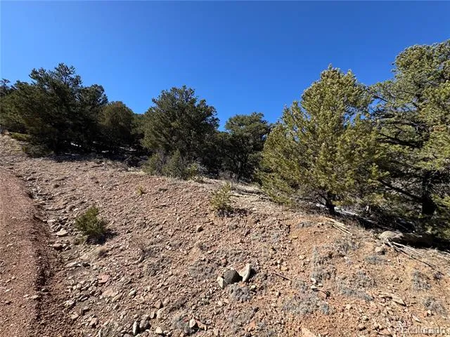 1114 Kevin Drive Cotopaxi, CO 81223