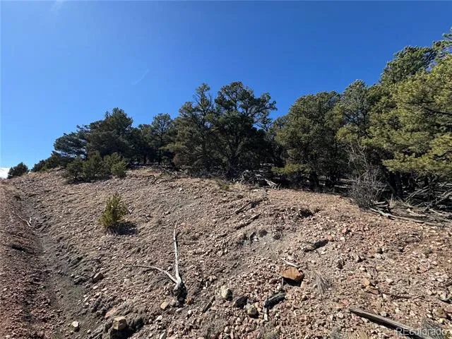 1114 Kevin Drive Cotopaxi, CO 81223