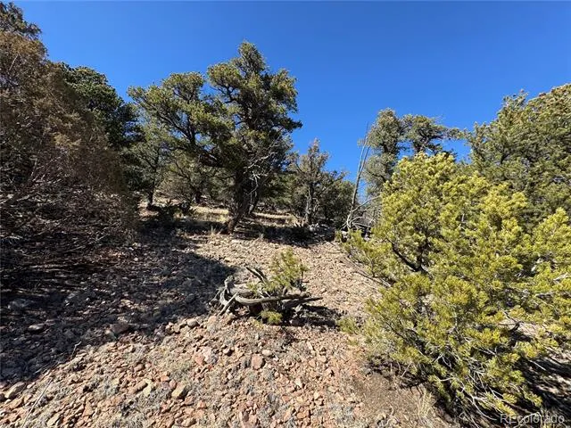 1114 Kevin Drive Cotopaxi, CO 81223