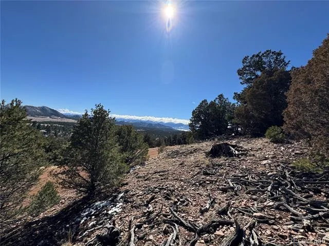 1114 Kevin Drive Cotopaxi, CO 81223