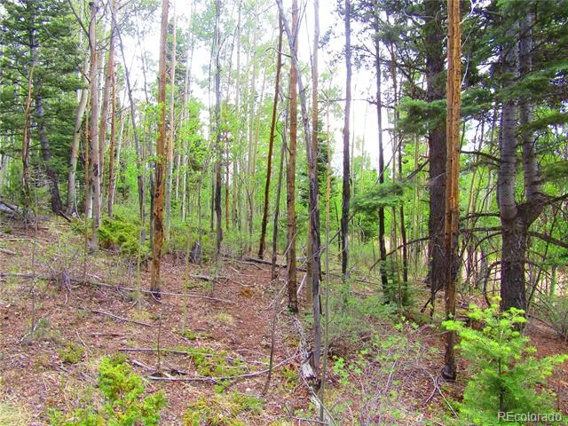 LOT 6850 Ryland Road San Luis, CO 81152