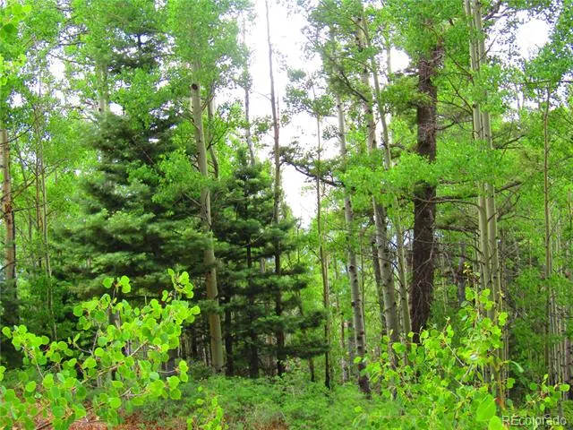 LOT 6850 Ryland Road San Luis, CO 81152