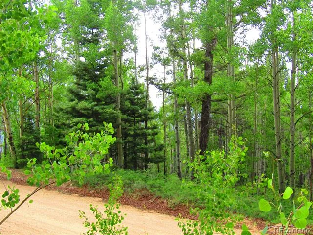 LOT 6850 Ryland Road San Luis, CO 81152