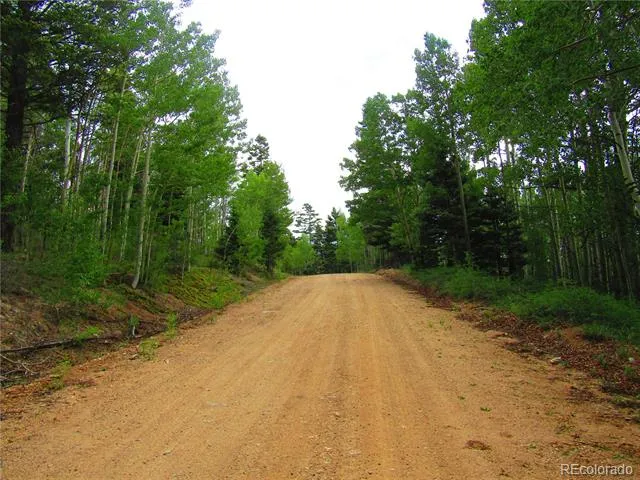 LOT 6850 Ryland Road San Luis, CO 81152