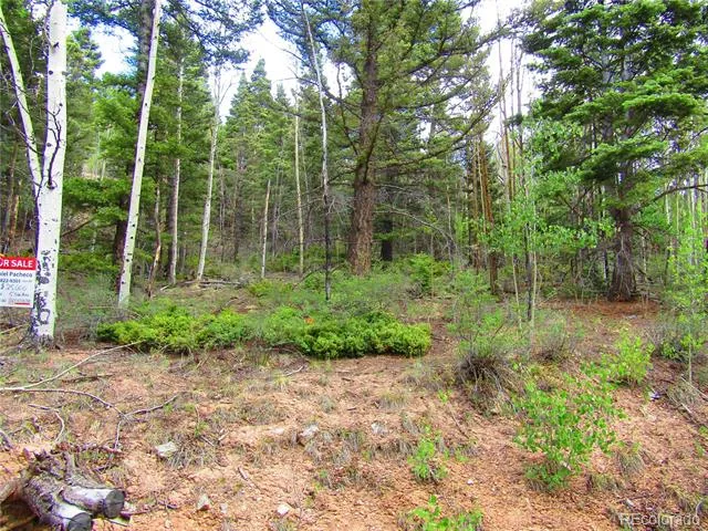 LOT 6850 Ryland Road San Luis, CO 81152