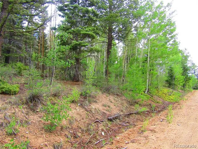 LOT 6850 Ryland Road San Luis, CO 81152