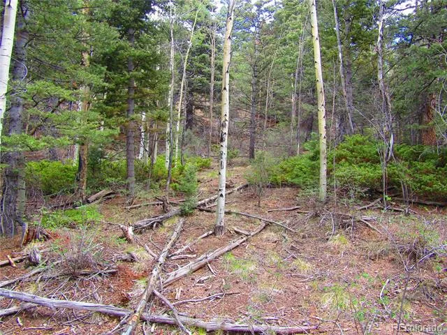 LOT 6850 Ryland Road San Luis, CO 81152