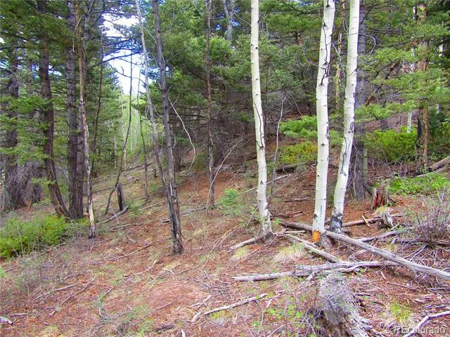 LOT 6850 Ryland Road San Luis, CO 81152
