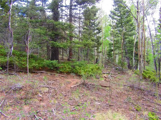 LOT 6850 Ryland Road San Luis, CO 81152