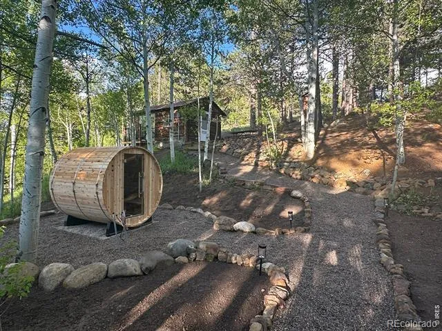 1087 Highway 7 Bus Rte Allenspark, CO 80510