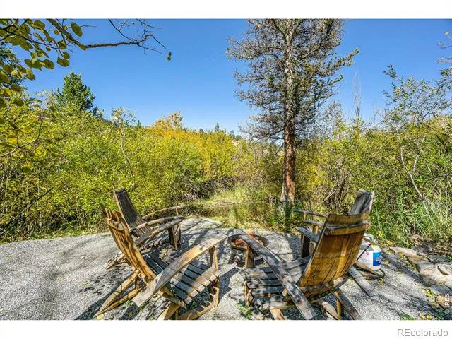 1087 Highway 7 Bus Rte Allenspark, CO 80510