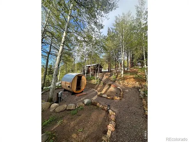 1087 Highway 7 Bus Rte Allenspark, CO 80510