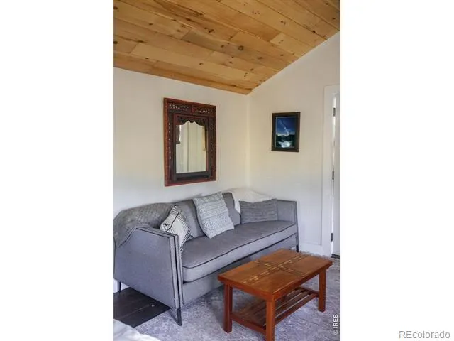 1087 Highway 7 Bus Rte Allenspark, CO 80510