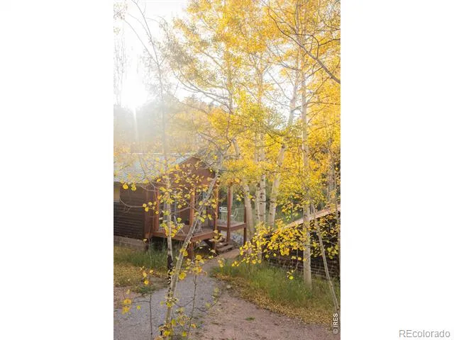 1087 Highway 7 Bus Rte Allenspark, CO 80510