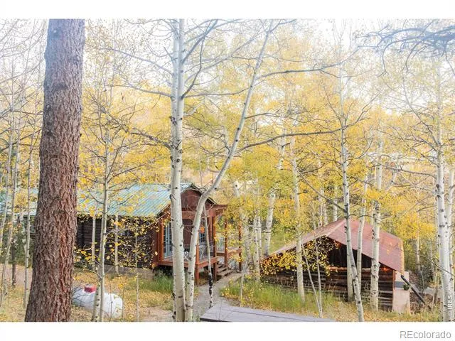 1087 Highway 7 Bus Rte Allenspark, CO 80510