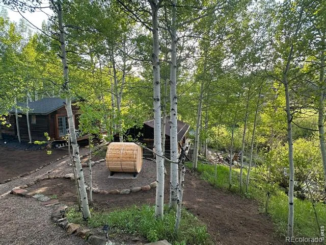 1087 Highway 7 Bus Rte Allenspark, CO 80510