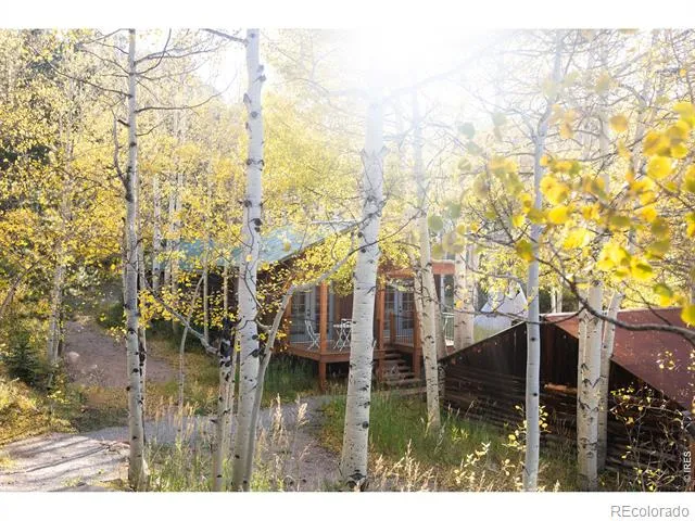 1087 Highway 7 Bus Rte Allenspark, CO 80510