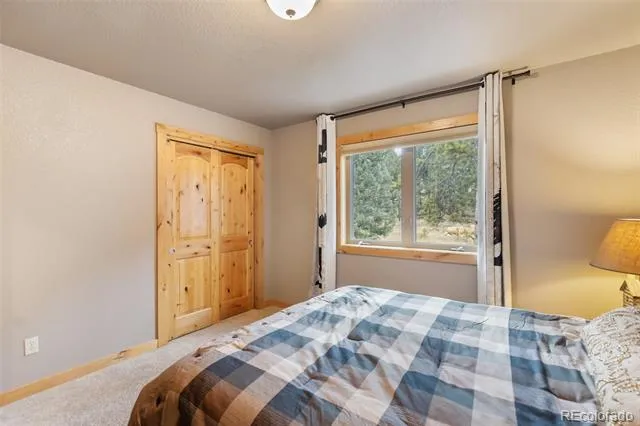 133 Elk Grove Lane Woodland Park, CO 80863