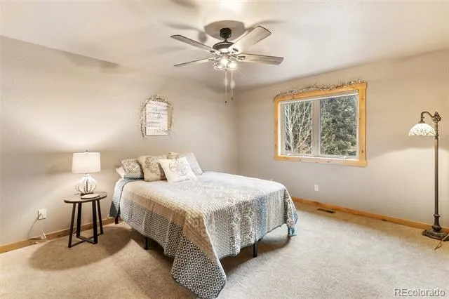 133 Elk Grove Lane Woodland Park, CO 80863