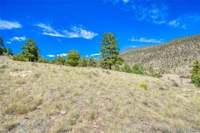 366 Timberline Trail South Fork, CO 81154