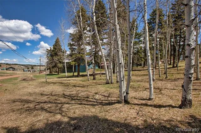 571 Will Scarlet Drive Divide, CO 80814