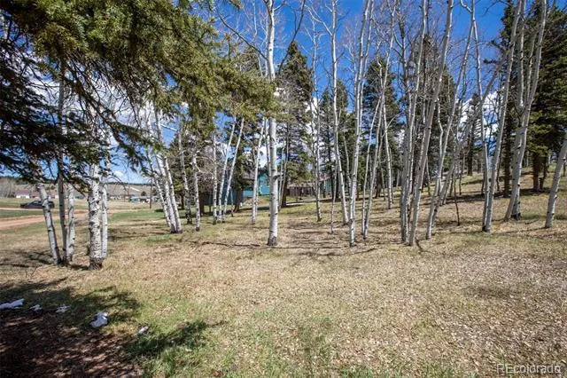 571 Will Scarlet Drive Divide, CO 80814