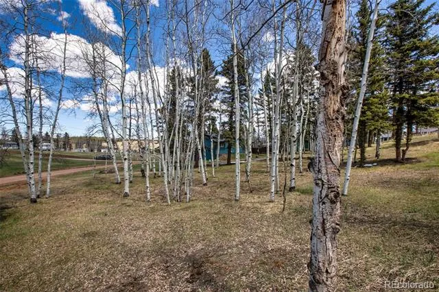 571 Will Scarlet Drive Divide, CO 80814