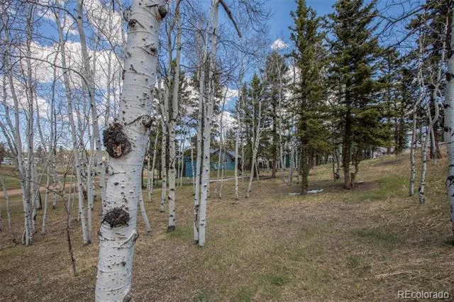 571 Will Scarlet Drive Divide, CO 80814
