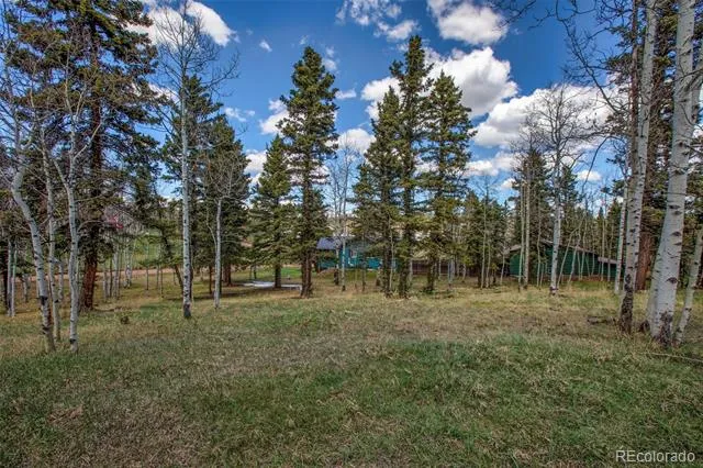 571 Will Scarlet Drive Divide, CO 80814