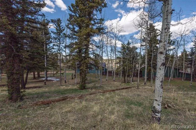 571 Will Scarlet Drive Divide, CO 80814