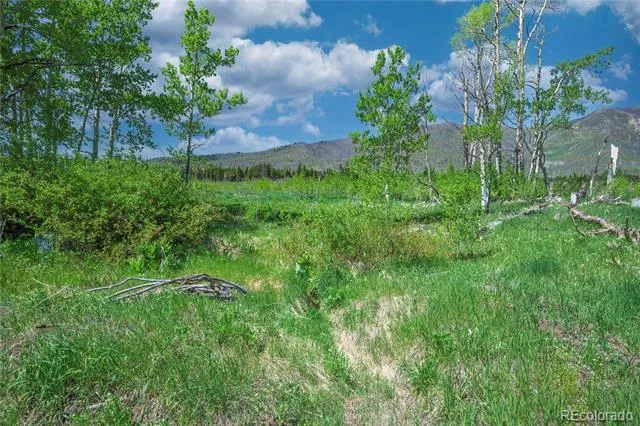Paradise Acres, Lot 4 - Blk 3 La Veta, CO 81055