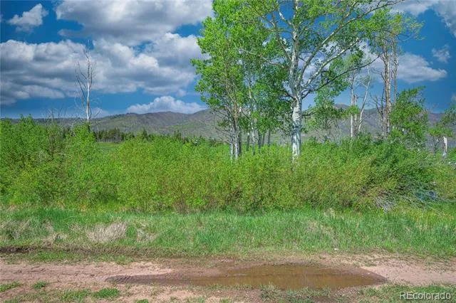 Paradise Acres, Lot 4 - Blk 3 La Veta, CO 81055