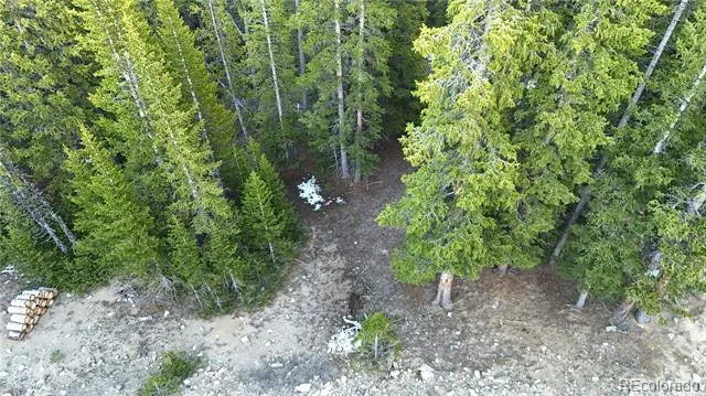 210 Silverheels Place Fairplay, CO 80440