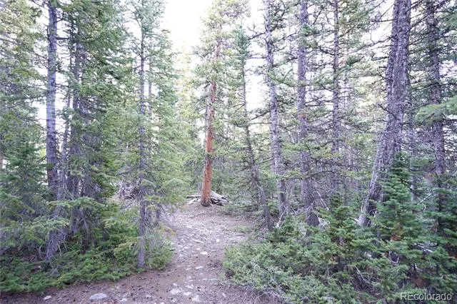 210 Silverheels Place Fairplay, CO 80440