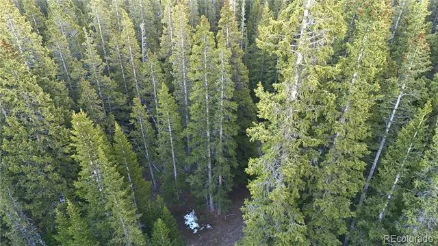 210 Silverheels Place Fairplay, CO 80440
