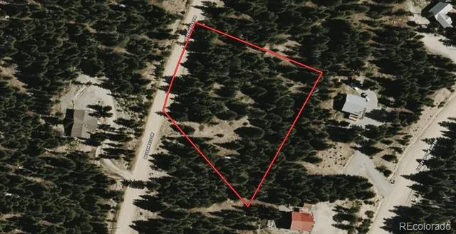 210 Silverheels Place Fairplay, CO 80440