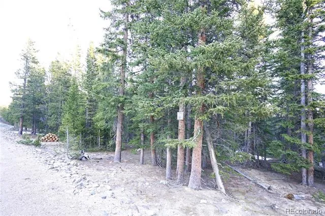 210 Silverheels Place Fairplay, CO 80440