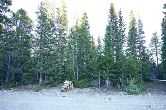 210 Silverheels Place Fairplay, CO 80440