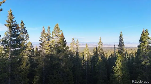 210 Silverheels Place Fairplay, CO 80440
