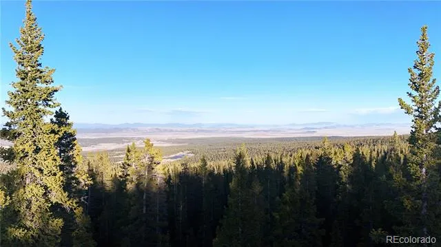 210 Silverheels Place Fairplay, CO 80440