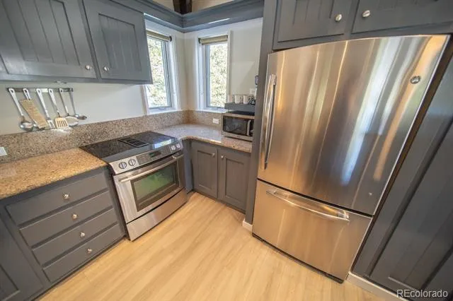 392 Wild Irishman Road #1910 Dillon, CO 80435