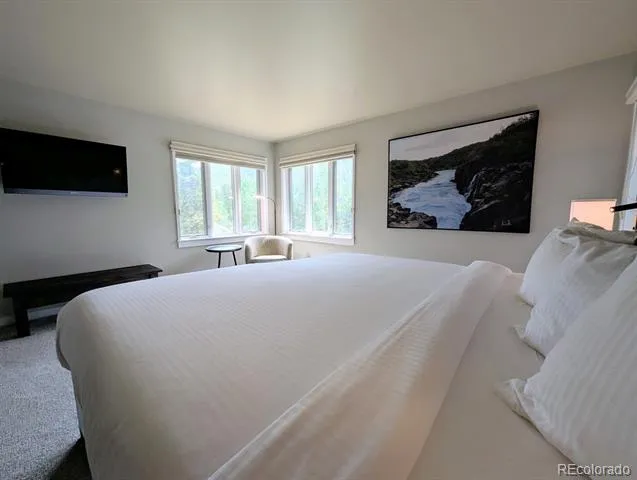 392 Wild Irishman Road #1910 Dillon, CO 80435