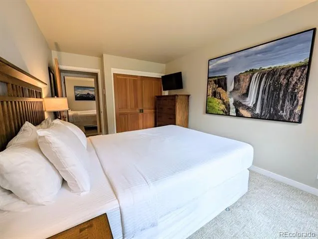 392 Wild Irishman Road #1910 Dillon, CO 80435