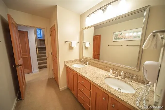 392 Wild Irishman Road #1910 Dillon, CO 80435